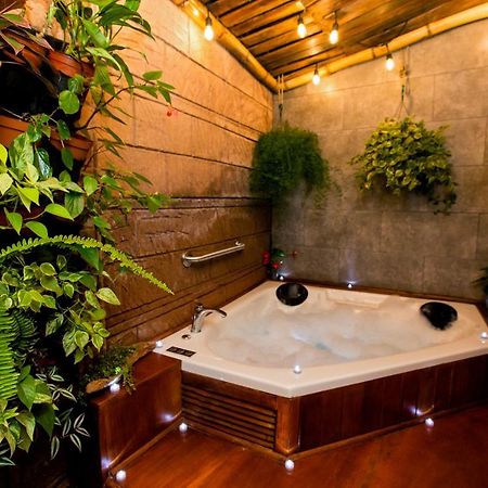 Casa Suculenta ,Monteverde Con Jacuzzi Privado Y Lavanderia エクステリア 写真