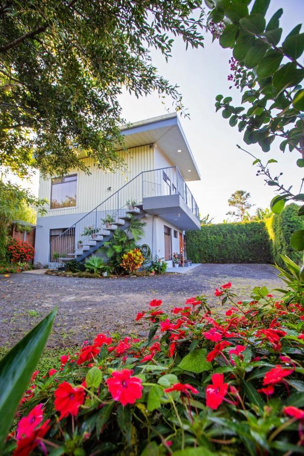Casa Suculenta ,Monteverde Con Jacuzzi Privado Y Lavanderia エクステリア 写真