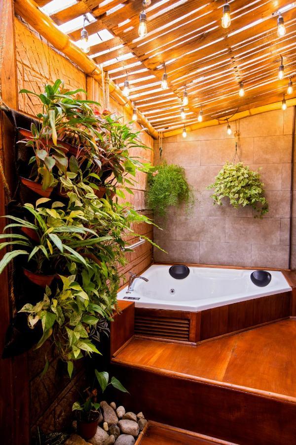 Casa Suculenta ,Monteverde Con Jacuzzi Privado Y Lavanderia エクステリア 写真