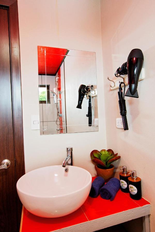Casa Suculenta ,Monteverde Con Jacuzzi Privado Y Lavanderia エクステリア 写真